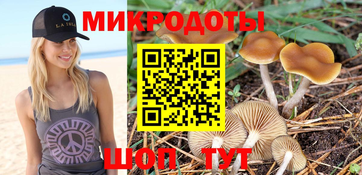 Псилоцибиновые грибы GOLDEN TEACHER  Вход с VPN  купить  сайты  Вязники 