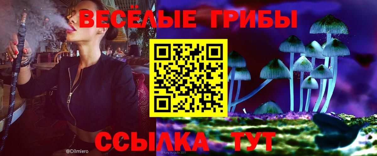 Галлюциногенные грибы Cubensis Вязники